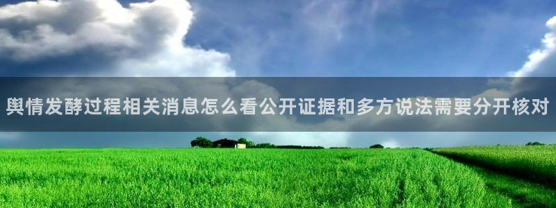 91吃瓜网络事件