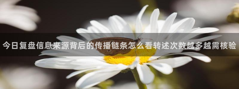 91吃瓜在线观看入口导航:今日复盘信息来源背后的传播链条怎么看转述次数越多越需核验