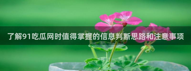 91吃瓜在线观看首页入口:了解91吃瓜网时值得掌握的信息判断思路和注意事项