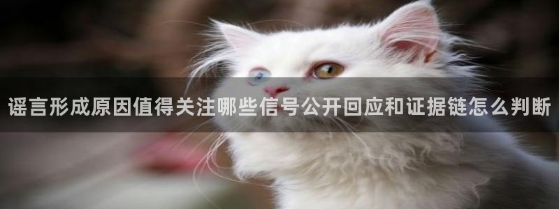 吃瓜每日热点:谣言形成原因值得关注哪些信号公开回应和证据链怎么判断