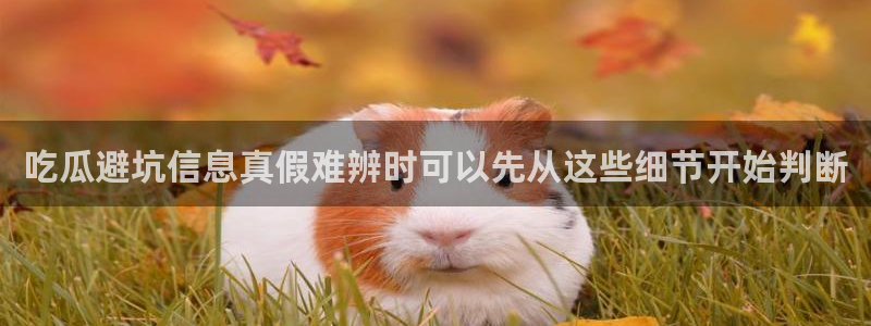 吃瓜在线观看：吃瓜避坑信息真假难辨时可以先从这些细节开始判断