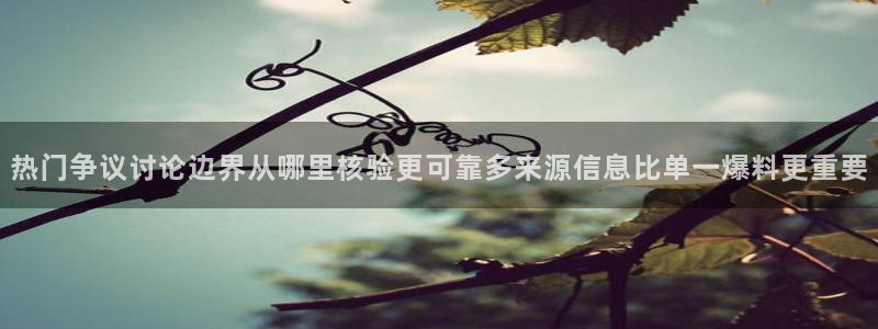 吃瓜在线观看:热门争议讨论边界从哪里核验更可靠多来源信息比单一爆料更重要